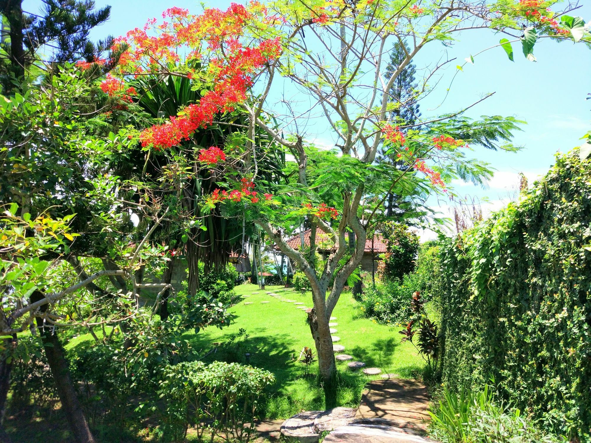 Gajah Mina Beach Resort Selemadeg  Esterno foto
