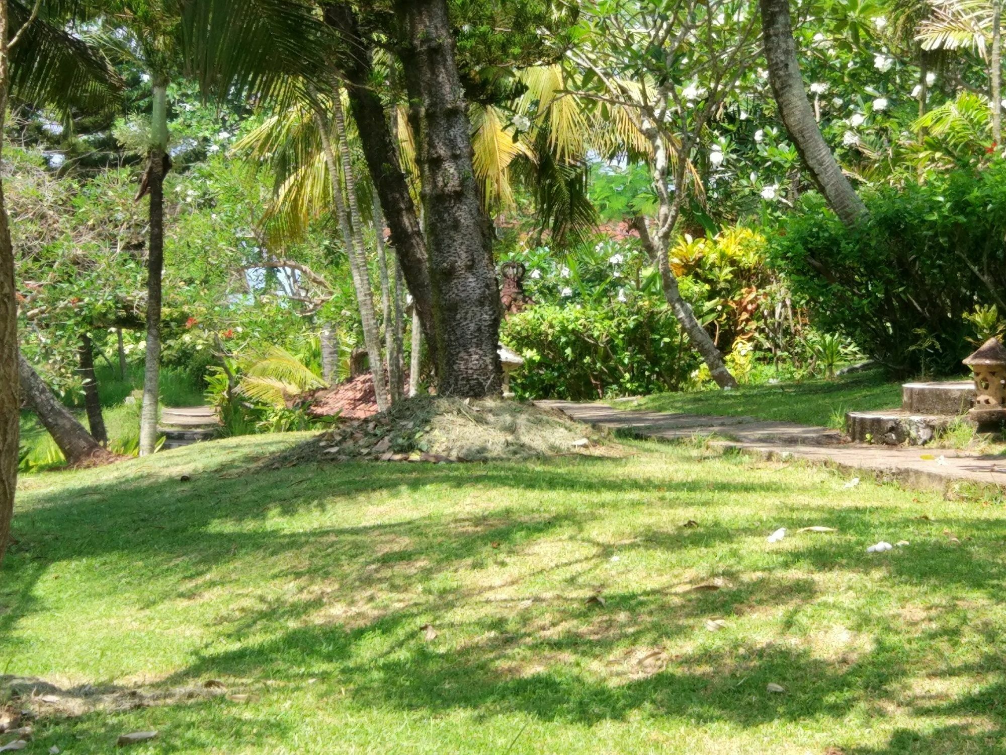 Gajah Mina Beach Resort Selemadeg  Esterno foto